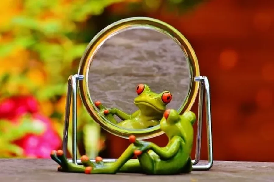 Mirror Riddles