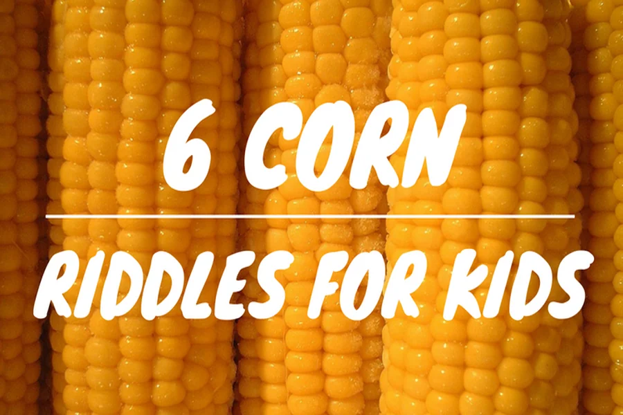 Corn Riddle