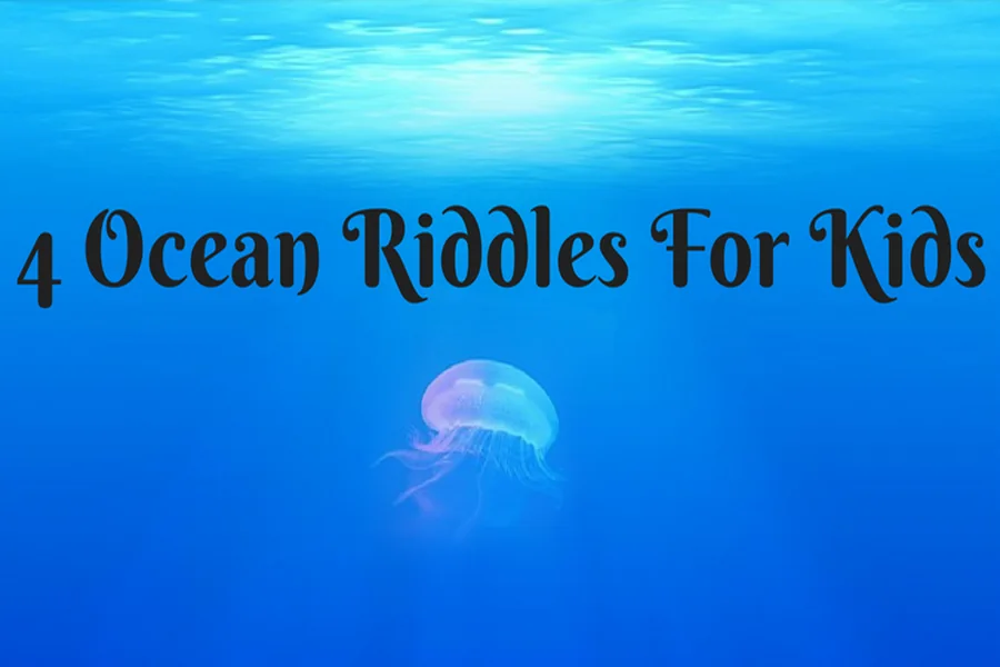 Ocean Riddles