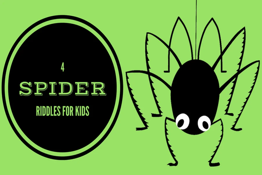 Spider Riddles