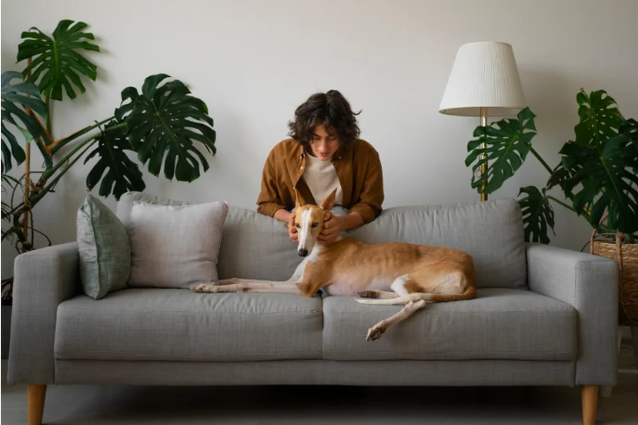 Fabric Sofa