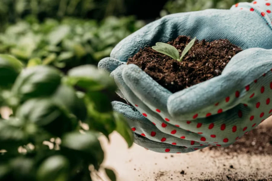 Fertilization Services