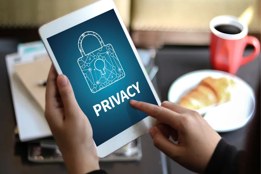 Data Privacy Laws